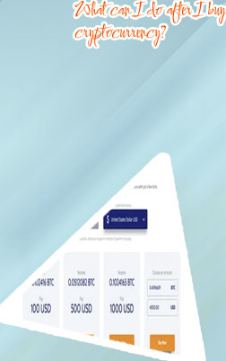 Can i buy bitcoins with a credit card